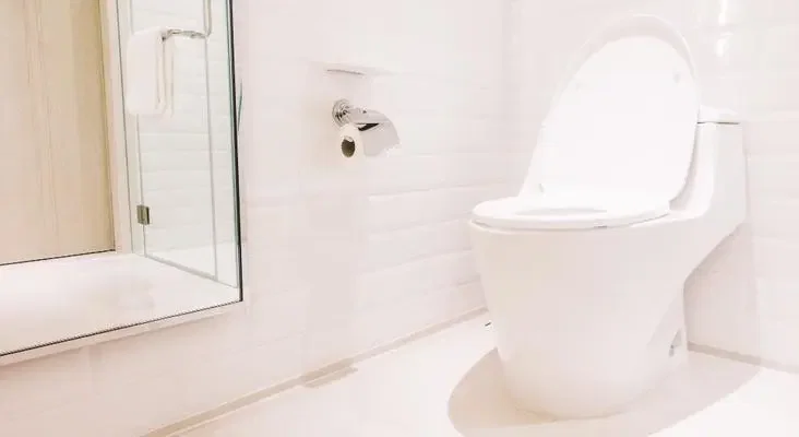 4 Jenis Kloset Leher Angsa Beserta Kelebihannya