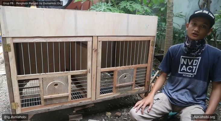 Contoh bikin kandang ternak merpati dua pintu