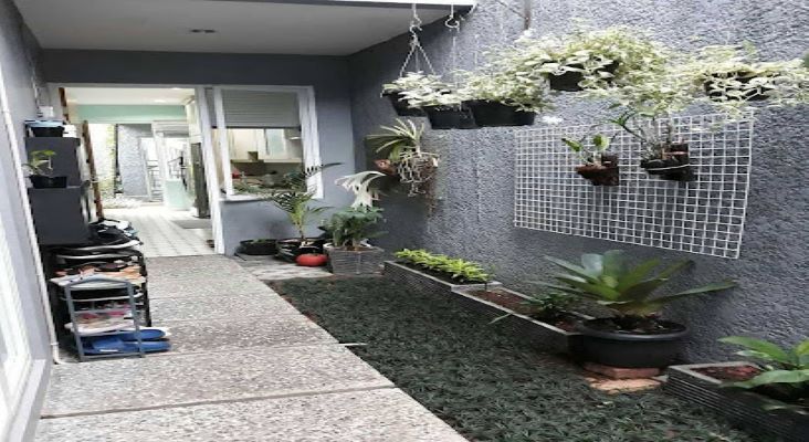 Pajangan Tanaman di Dinding